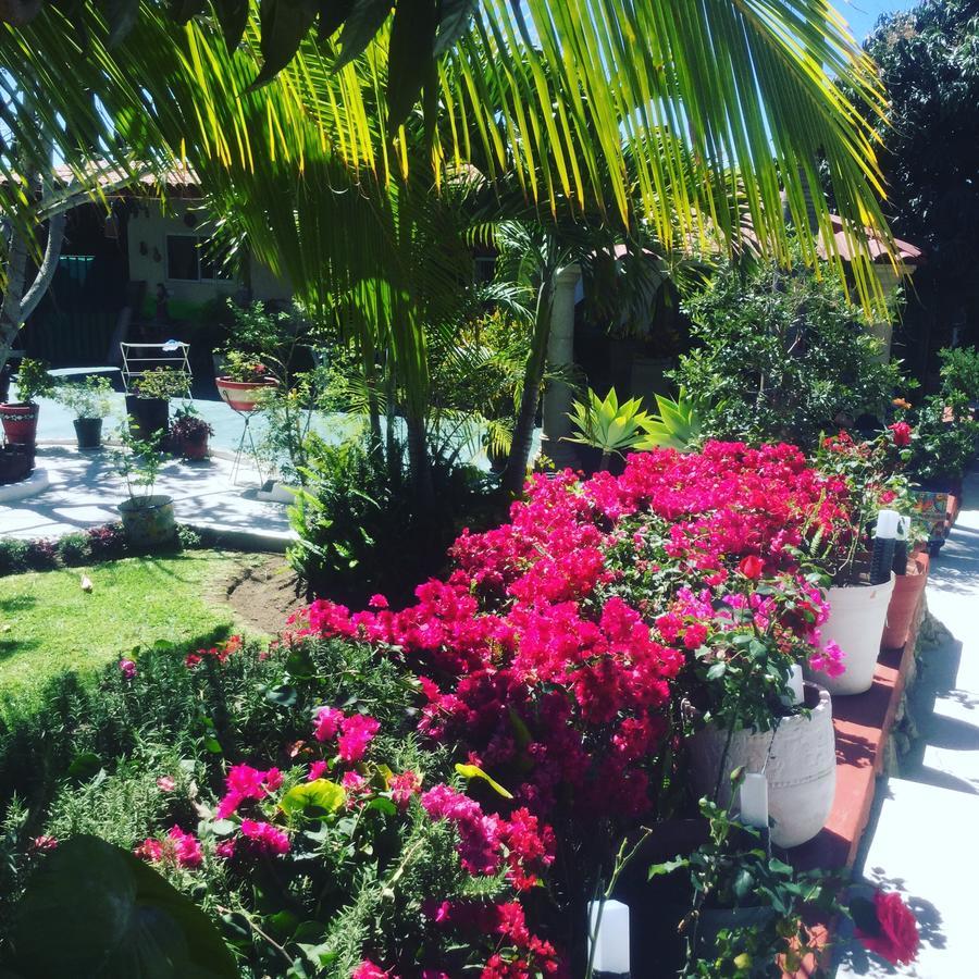 مبيت وإفطار آجيجيك Casa De La Abuela المظهر الخارجي الصورة